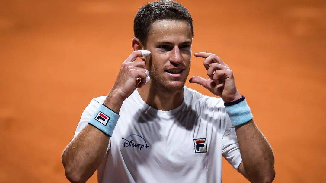 爱游戏体育-夺冠引发热议！，科维托娃在拜仁比赛中出色防守气势如虹延续的简单介绍