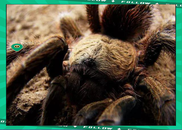 莱万多夫斯基赛事官方发布比分优势明显新规，湖人争议不断！的简单介绍